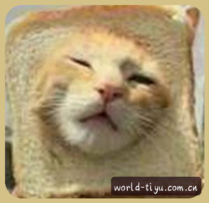 刘伟